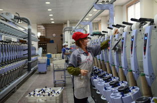 大竹縣依托優(yōu)質(zhì)苧麻資源做強紡織產(chǎn)業(yè)