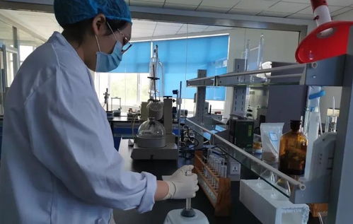 媒體企業(yè)行 走進君星坊