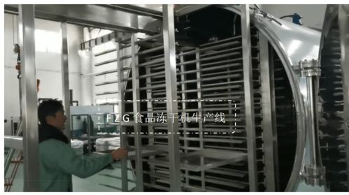 大型食品凍干機果蔬生產(chǎn)線解決方案