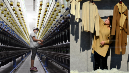 在抖音電商,8000多清河商家正努力讓國人實現(xiàn)&ldquo;羊絨自由&rdquo;