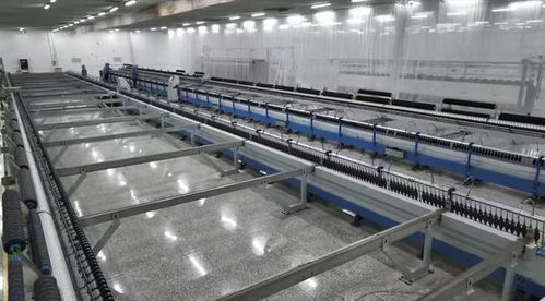 矚目 寧夏新澳羊絨,作為民營經(jīng)濟閃耀典范,引領(lǐng)產(chǎn)業(yè)大步跨越