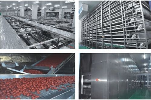 工業(yè)微波干燥設備的設計原則