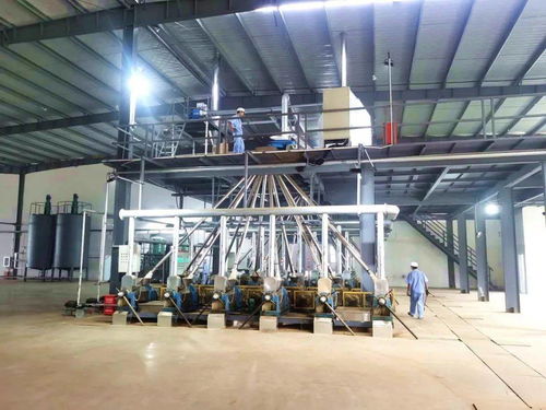 項(xiàng)目建設(shè)工作動(dòng)態(tài)