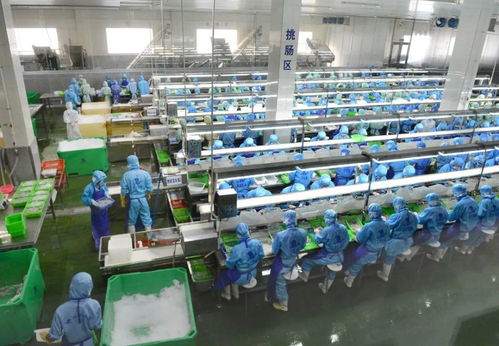 乘風破浪 陽江漁業產業駛向高質量發展新航程