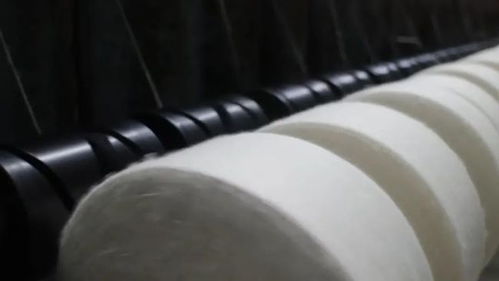 太美紡織 不斷前進(jìn),讓更多人選擇太美