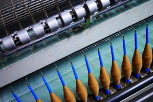 我們愿為你堅守 e家內蒙溯源特輯