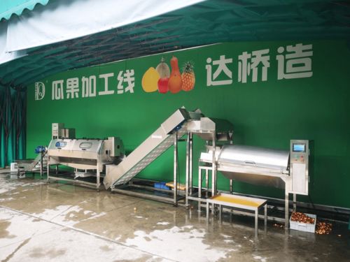 自主創新打破壁壘 達橋智造 走出國門