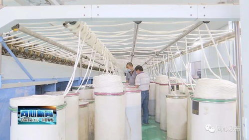 下馬關鎮三山井村扶貧車間開業了