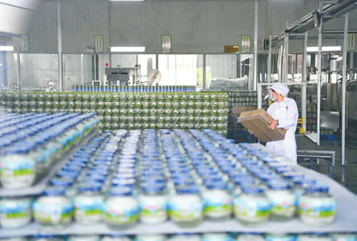 農(nóng)業(yè)園區(qū)引領(lǐng)全力打造農(nóng)業(yè)高質(zhì)量發(fā)展 火車頭