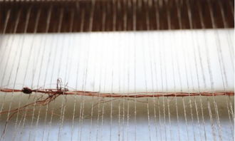 職人故事 ▎簡(jiǎn)素 我們將山野草織入面料,留住記憶中的草木四季