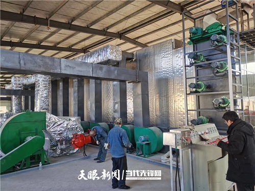 施秉 萬畝魔芋產業升級，深加工與紡紗雙輪驅動